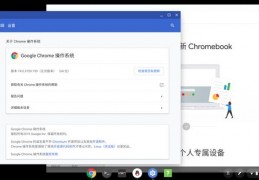 chromeos国内可以用吗,chromeos中国可以用吗