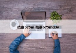 技嘉b75m,技嘉b75md3v