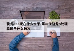 骁龙855现在什么水平,第二代骁龙8处理器属于什么档次