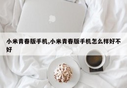 小米青春版手机,小米青春版手机怎么样好不好