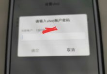 vivo手机被锁了怎么刷机,vivo手机密码锁了怎么刷机