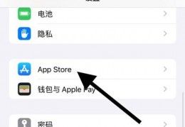 applepay怎么打开,applepay怎么打开支付