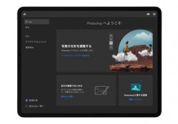 ipadmini所有型号,ipad迷你所有型号及价格