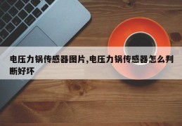 电压力锅传感器图片,电压力锅传感器怎么判断好坏