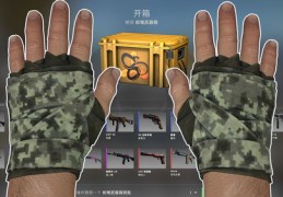 csgo开箱网站免费抽一次,csgo开箱网站公认最好的