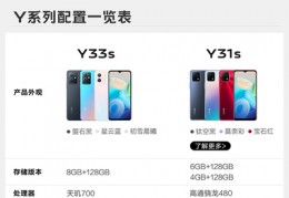 vivoy33s参数配置及价格,vivoy33l手机参数与报价