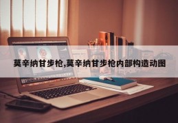 莫辛纳甘步枪,莫辛纳甘步枪内部构造动图