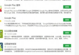 正版googleplay商店,谷歌商店paypal官网