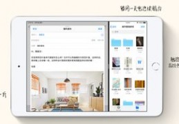 ipadmini5刚出来价格多少,ipad mini 5 上市价格