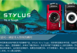 olympus数码相机型号,olympus型号在哪看