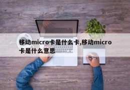 移动micro卡是什么卡,移动micro卡是什么意思