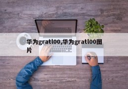 华为gratl00,华为gratl00图片