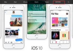 apple官方网站查询,apple苹果官网查询