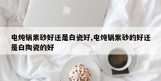 电炖锅紫砂好还是白瓷好,电炖锅紫砂的好还是白陶瓷的好