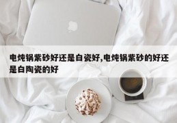 电炖锅紫砂好还是白瓷好,电炖锅紫砂的好还是白陶瓷的好