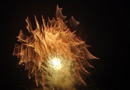 firework,fireworks的中文意思