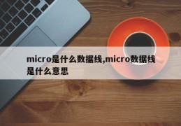 micro是什么数据线,micro数据线是什么意思