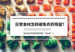 十大食品净化器的排名,食品净化机品牌