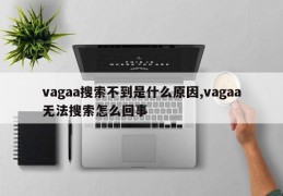 vagaa搜索不到是什么原因,vagaa无法搜索怎么回事