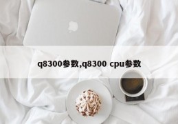 q8300参数,q8300 cpu参数