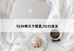 5230有几个意思,5231含义