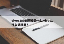 vivos1的处理器是什么,vivos1什么处理器?