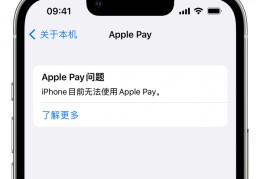 applepay怎么支付,applepay怎么支付appstore