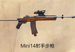 mini14射手步枪,Mini14射手步枪介绍