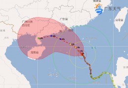 台风尼格登陆广东的简单介绍