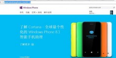 wp8软件下载,wp80软件