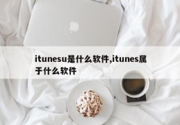 itunesu是什么软件,itunes属于什么软件